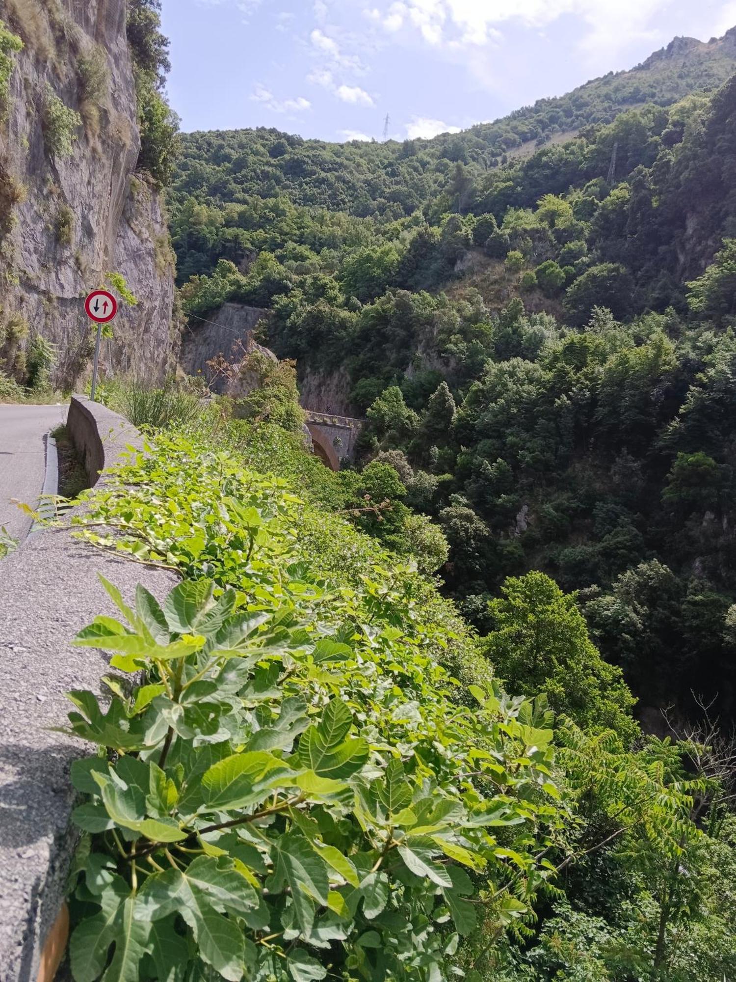 Villa Aurea Papasidero Екстериор снимка
